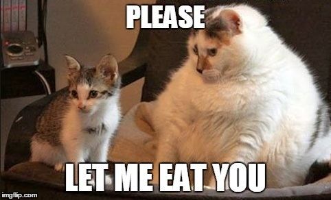 Please Let Me Eat You