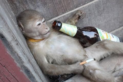 Enjoy Enjoy