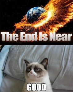 Grumpy cat's last words on doomsday