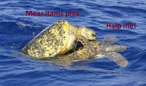 I need moar itams plox (halp me)