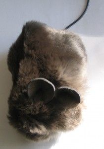 Mouse Mouse