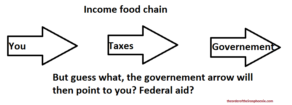 income food chain