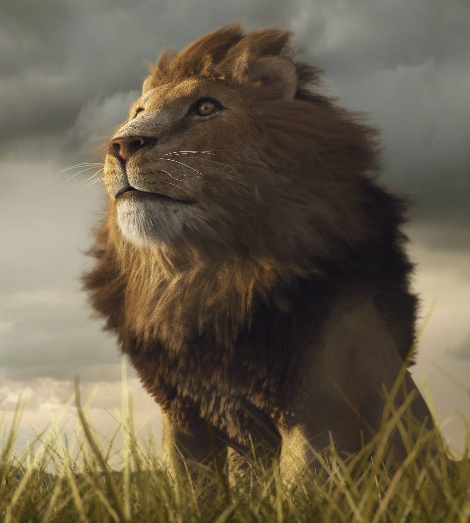Woman killed by male lion