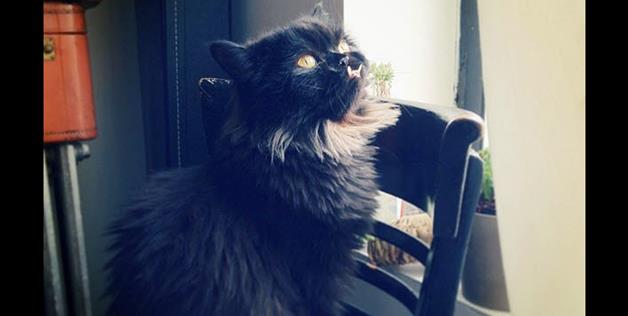 pondering the meaning of life